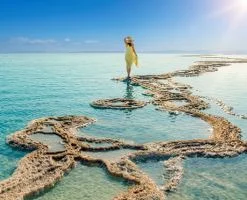 البحر الميت